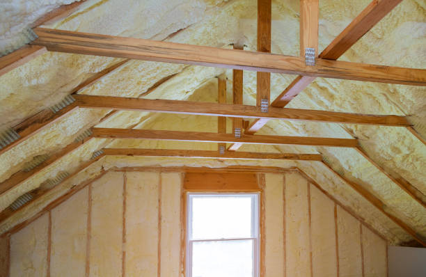 Best Local Insulation Services  in San Felipe, TX