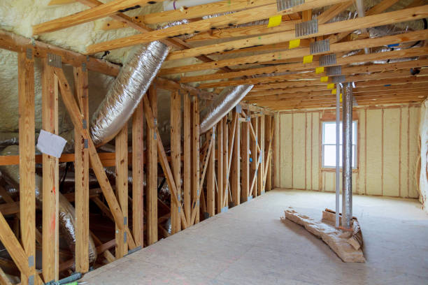 Best Cellulose Insulation  in San Felipe, TX