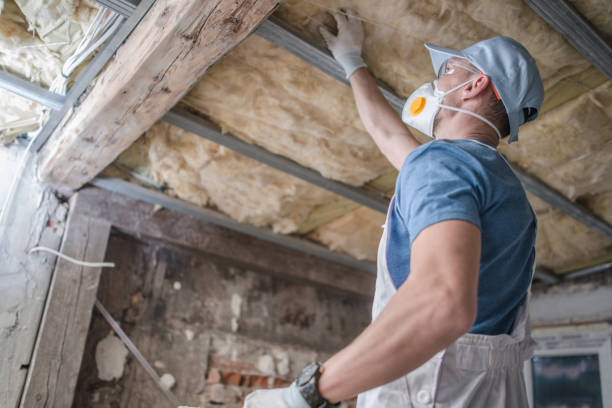 Best Spray Foam Insulation  in San Felipe, TX