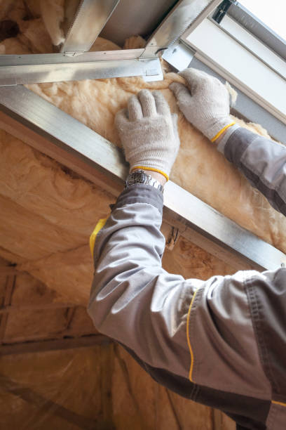 Best Professional Insulation Contractor  in San Felipe, TX