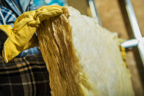 Professional Insulation Contractor in San Felipe, TX