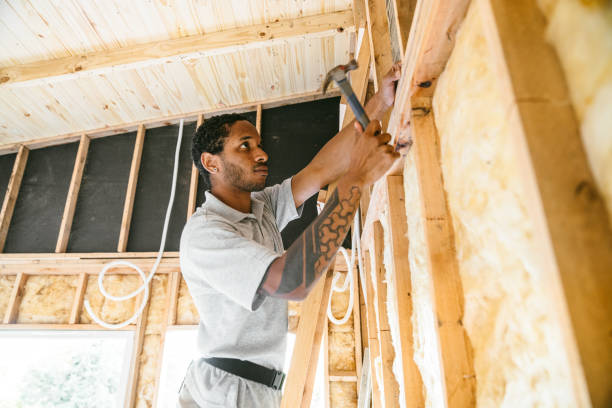 Best Blown-in Insulation  in San Felipe, TX