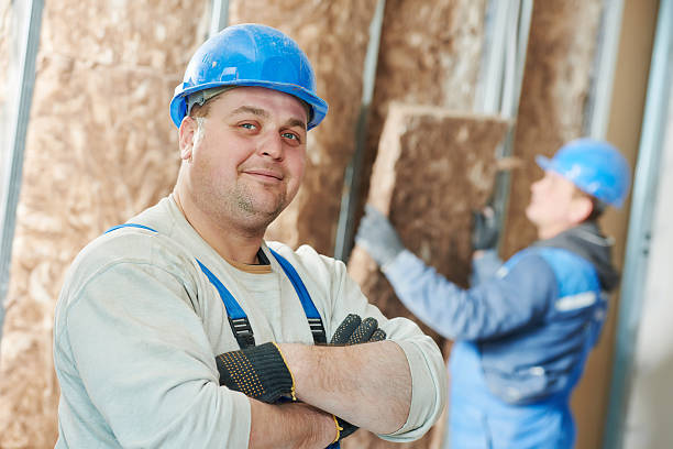 Best Affordable Insulation Services  in San Felipe, TX