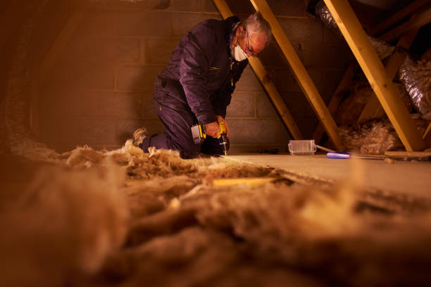 Best Insulation Repair Services  in San Felipe, TX